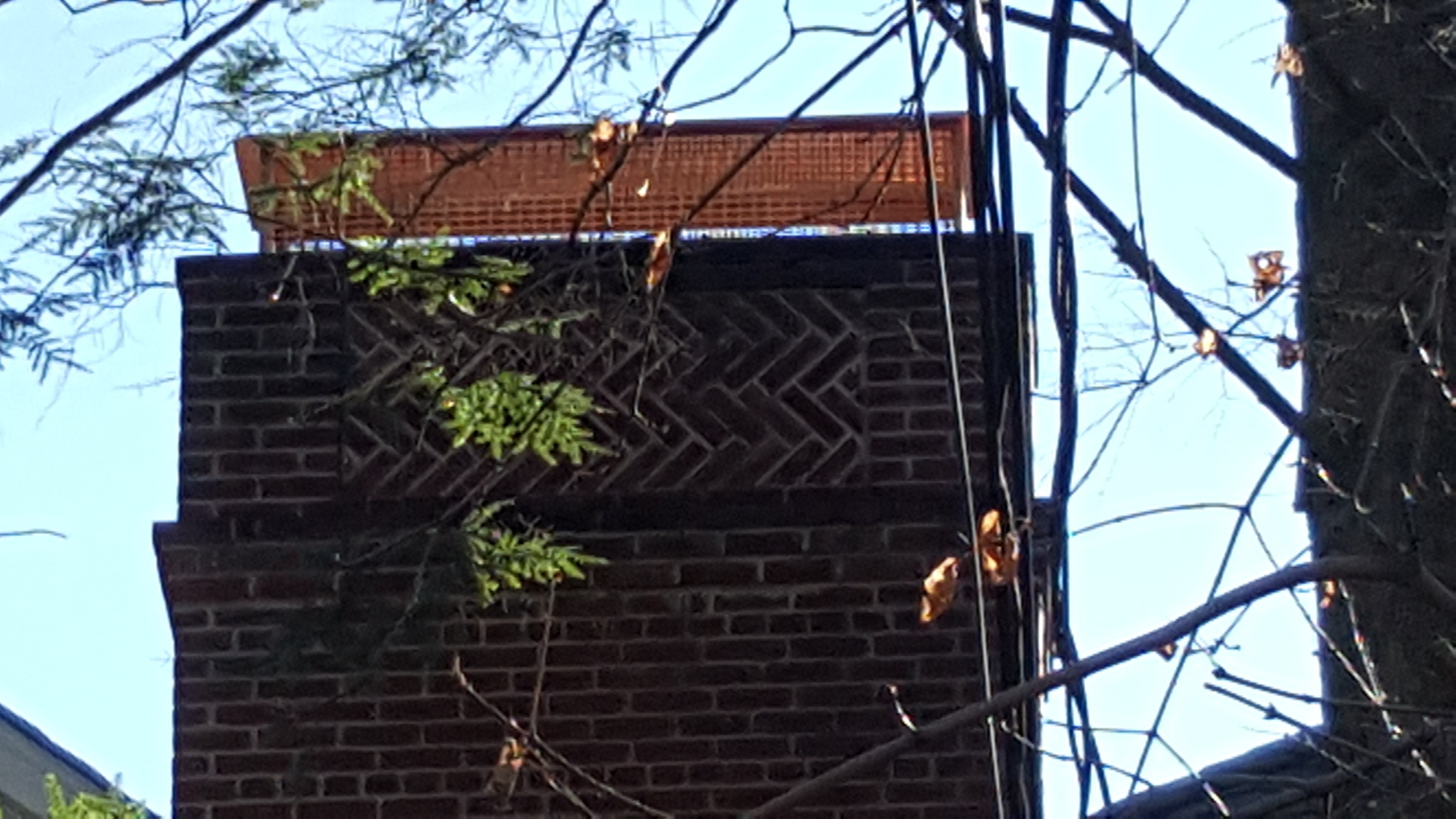 Animal-proof chimney cap protecting home in West Hampton, New York
